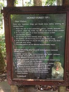 Rules for the monkey forest (click to enlarge)