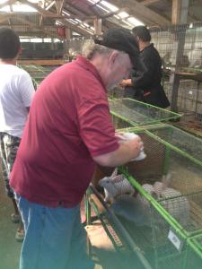 John gave them some advice on breeding to improve meat type